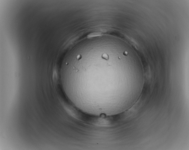 X0000113930166200910091610