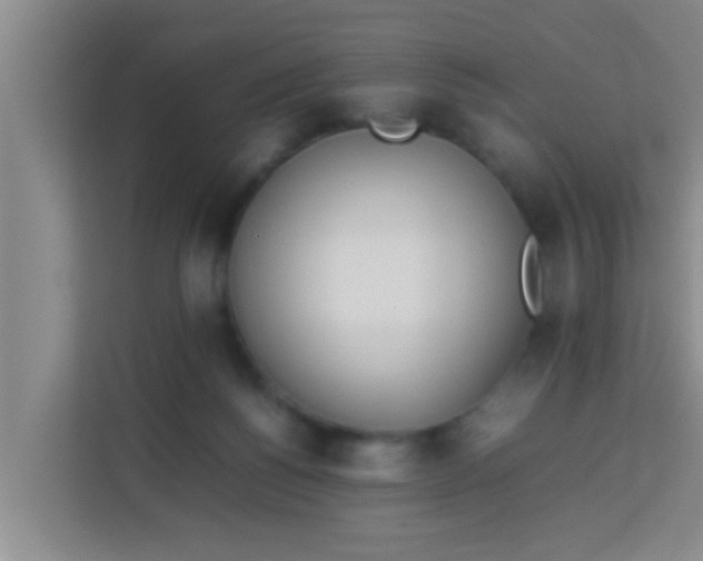 X0000113930168200910091610