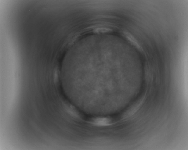 X0000113930169200910091610