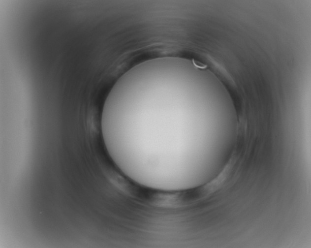 X0000113930170200910091610