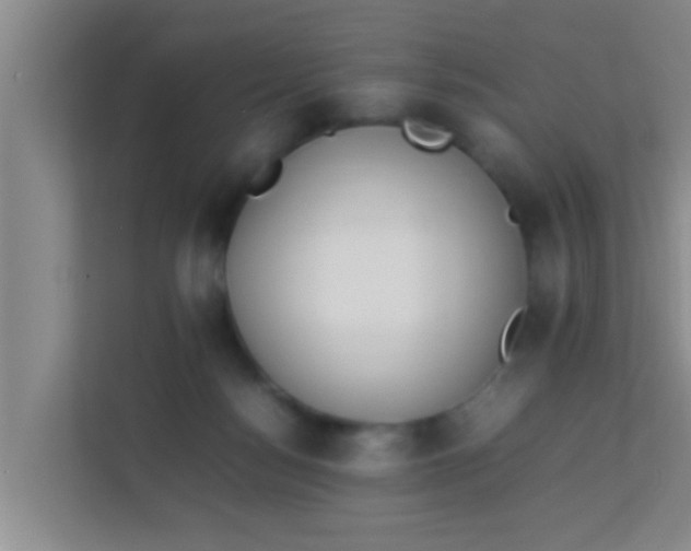 X0000113930172200910091610