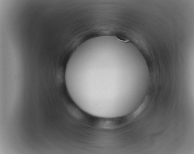 X0000113930174200910091610