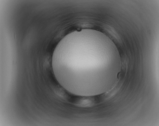 X0000113930175200910091610