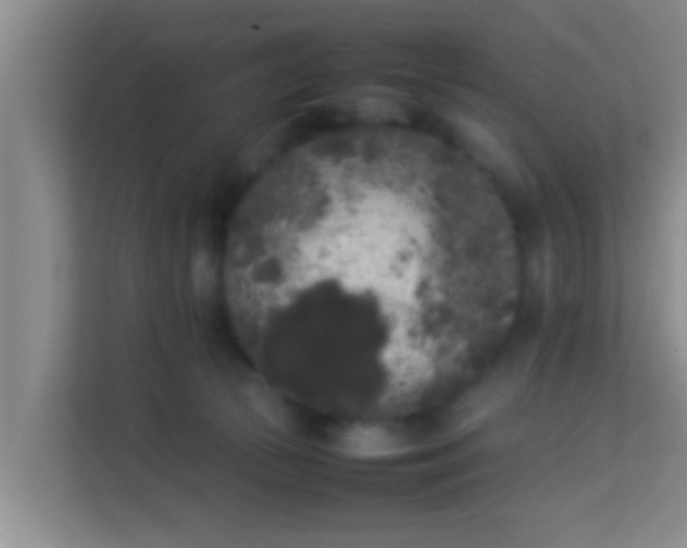 X0000113930177200910091610