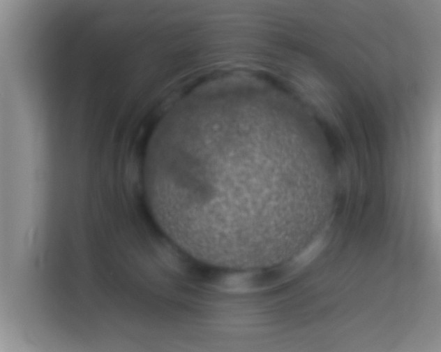 X0000113930178200910091610