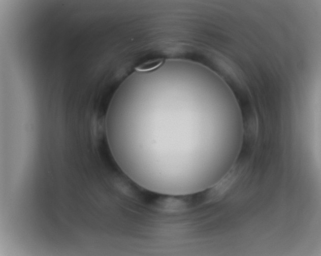 X0000113930180200910091610