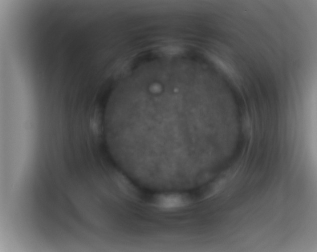 X0000113930181200910091610