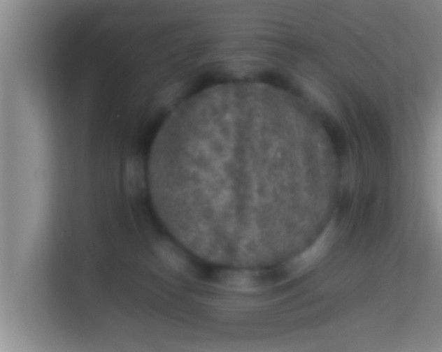 X0000113930182200910091610