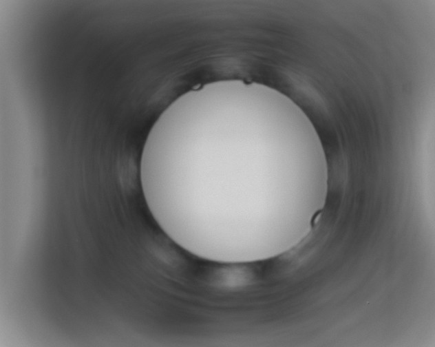 X0000113930183200910091610