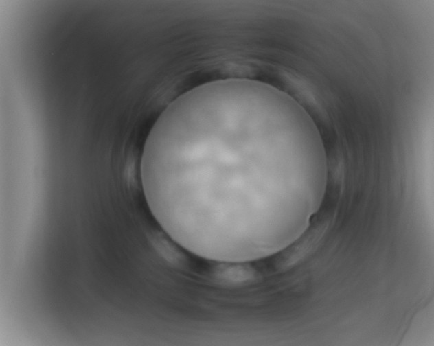 X0000113930185200910091610