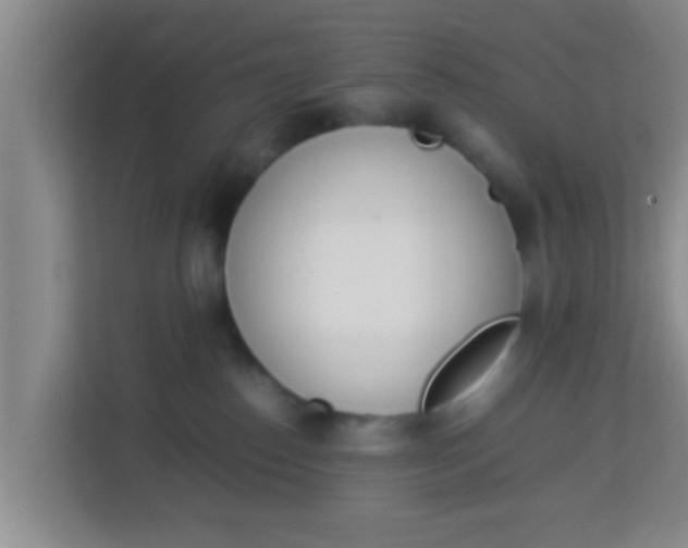 X0000113930186200910091610