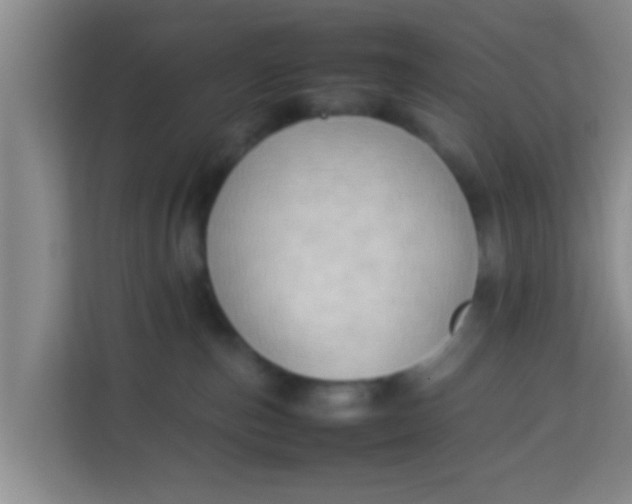 X0000113930187200910091610