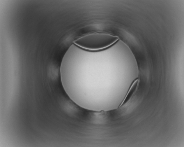 X0000113930188200910091610