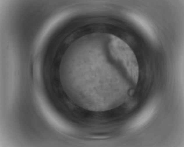 X0000113930189200910091610