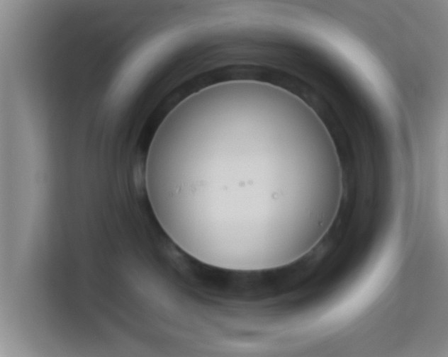 X0000113930190200910091610