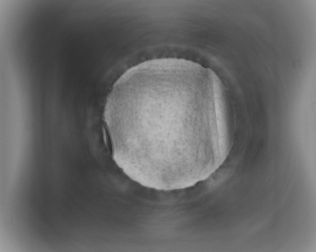 X0000113930192200910091610