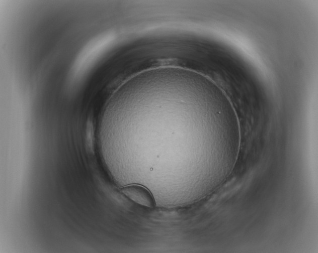 X0000113930194200910091609