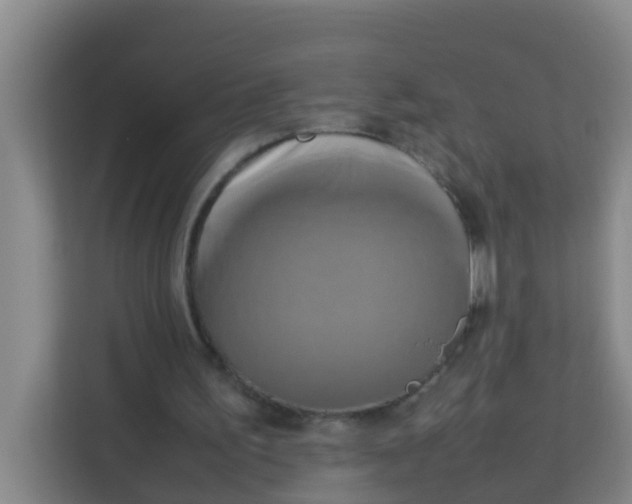 X0000113930195200910091609