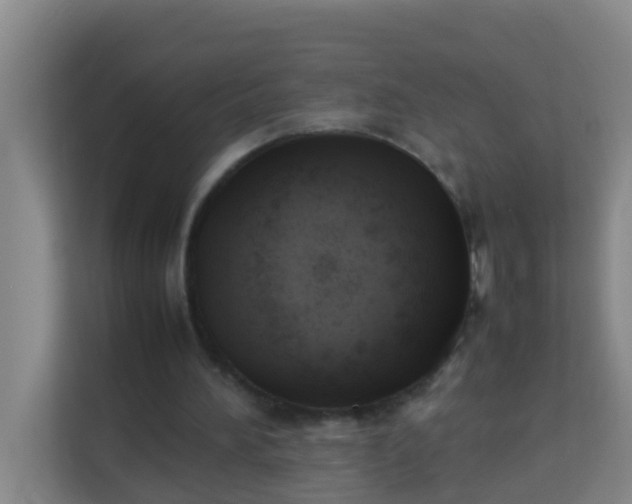 X0000113930196200910091609