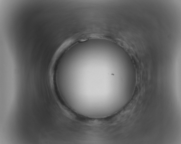 X0000113930197200910091609