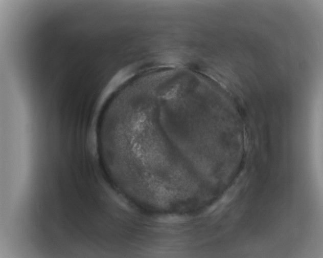 X0000113930198200910091609