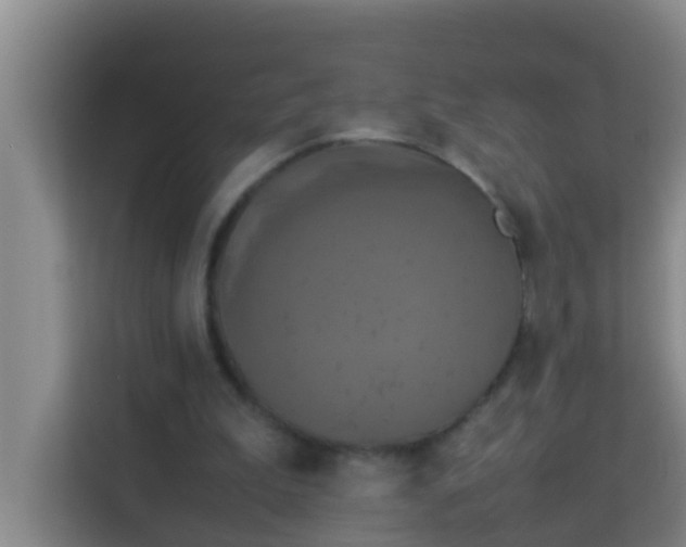 X0000113930199200910091609