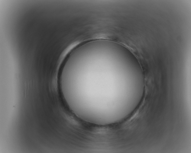 X0000113930200200910091609