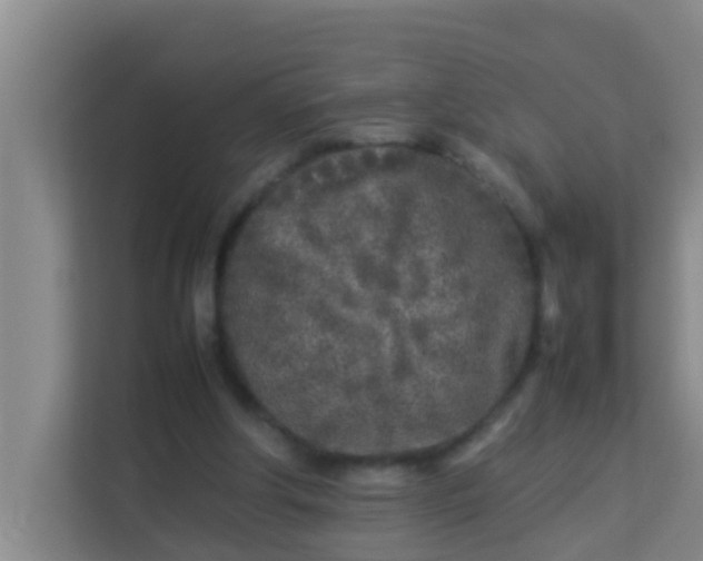 X0000113930202200910091609