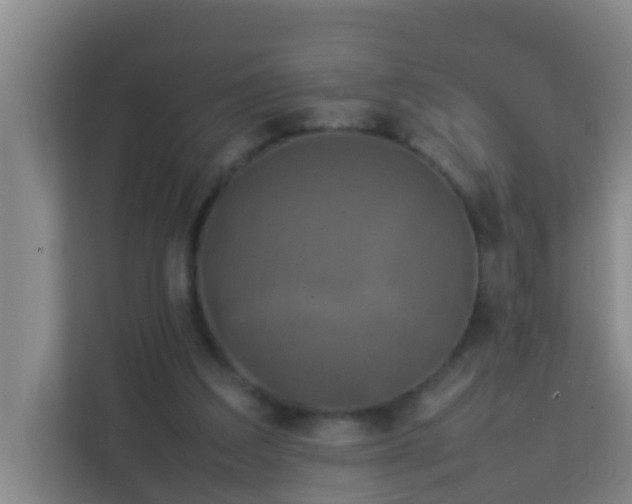 X0000113930203200910091609