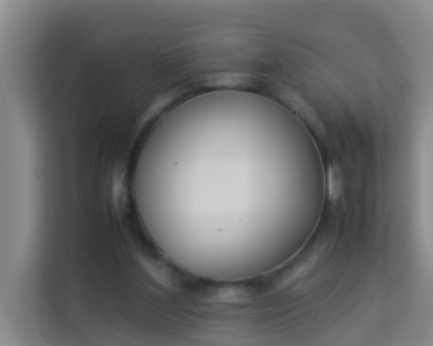 X0000113930204200910091609