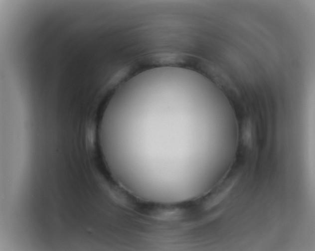 X0000113930206200910091609