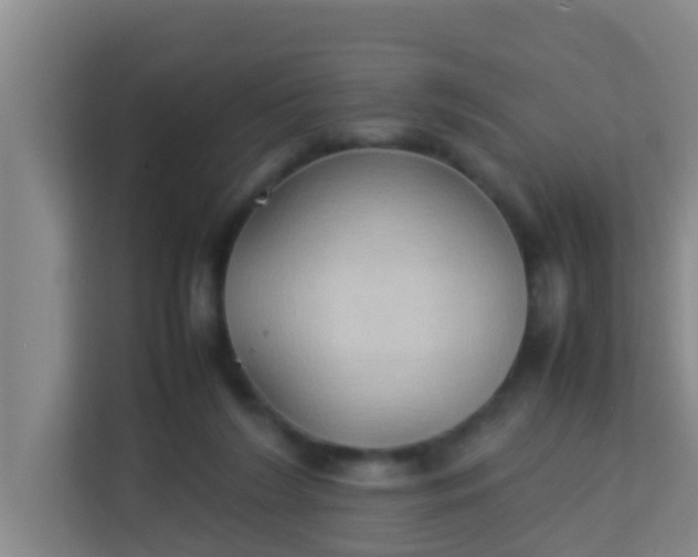 X0000113930212200910091609