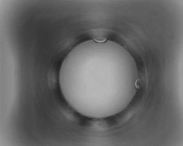 X0000113930215200910091609