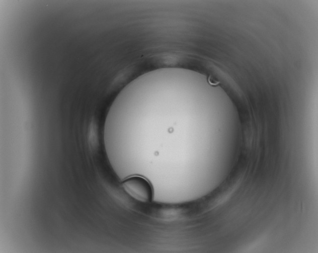 X0000113930216200910091609