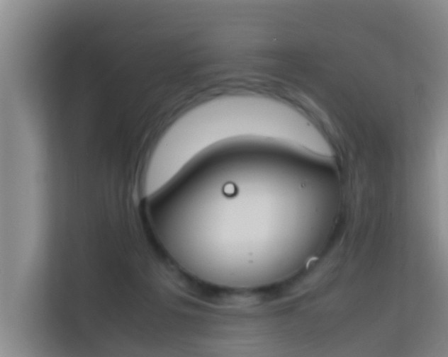 X0000113930217200910091609