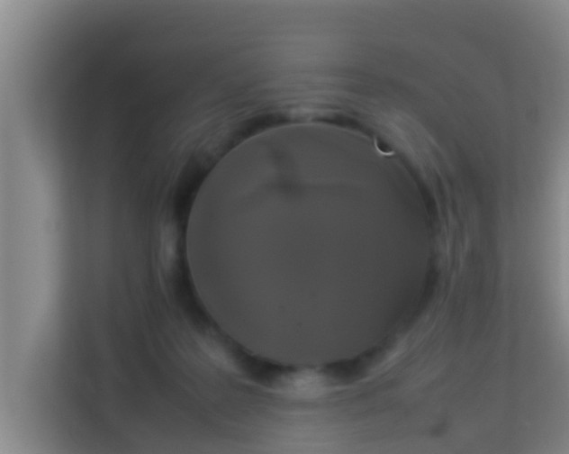 X0000113930219200910091609