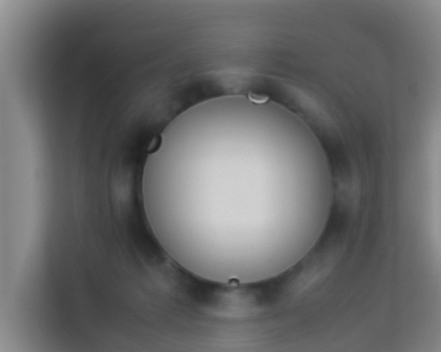 X0000113930221200910091609