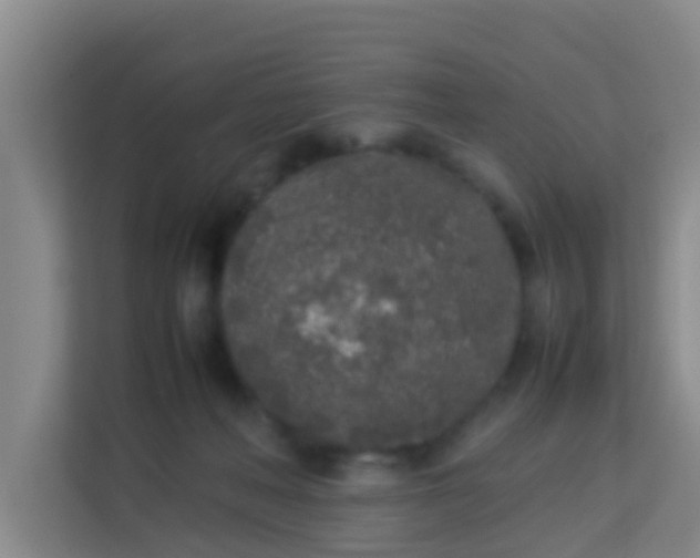 X0000113930222200910091609