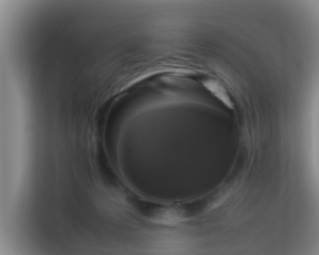 X0000113930223200910091609