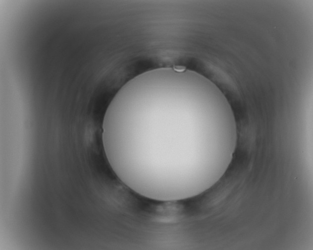 X0000113930225200910091609