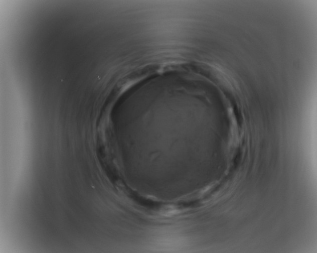 X0000113930227200910091609