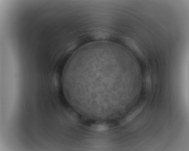 X0000113930228200910091609