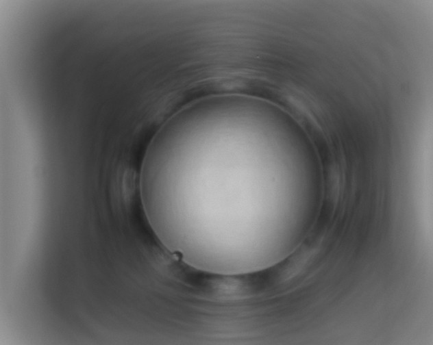 X0000113930230200910091609