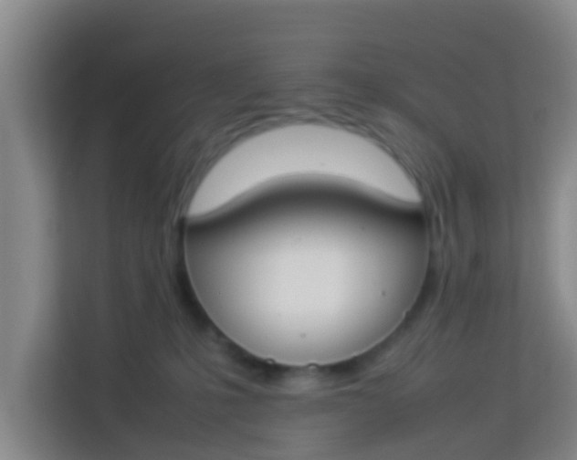 X0000113930231200910091609