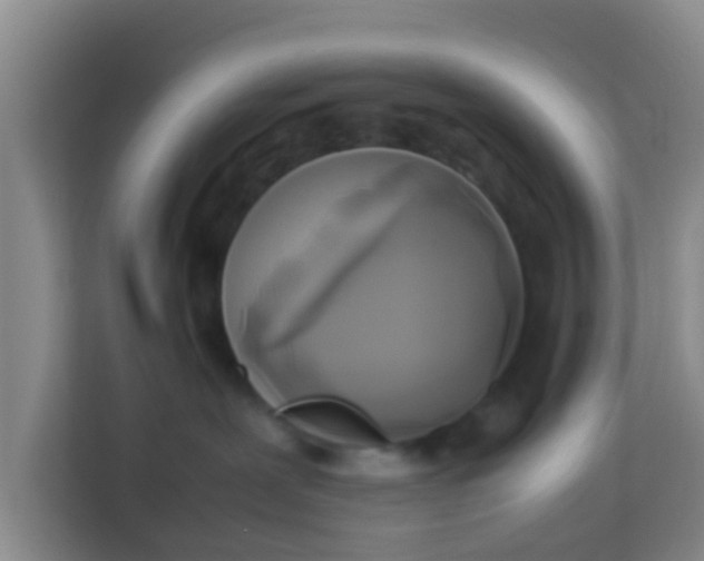 X0000113930239200910091609