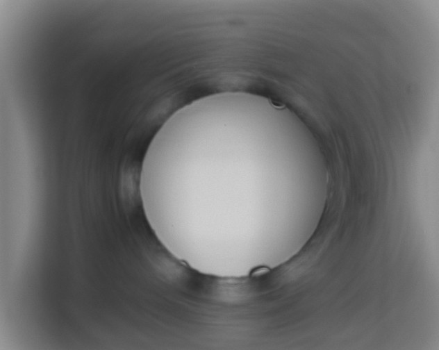 X0000113930240200910091609