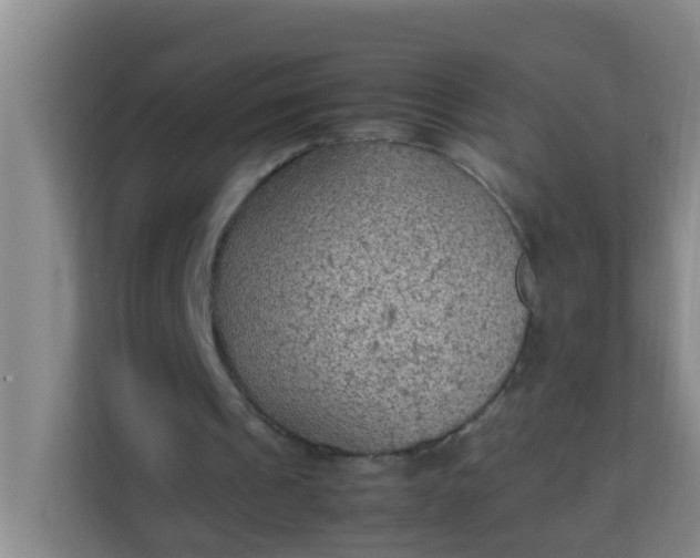 X0000113930241200910091608