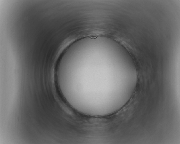 X0000113930242200910091608