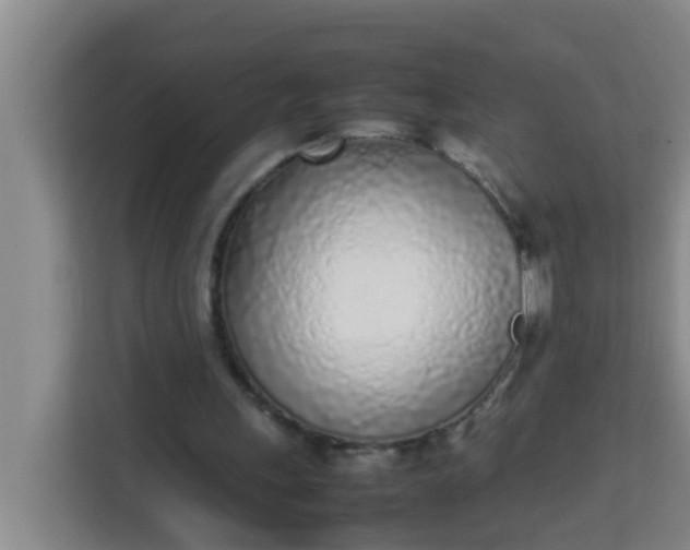 X0000113930243200910091608