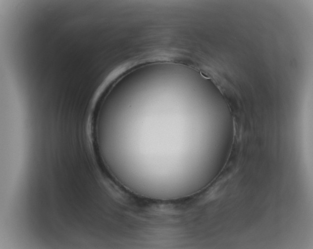 X0000113930244200910091608